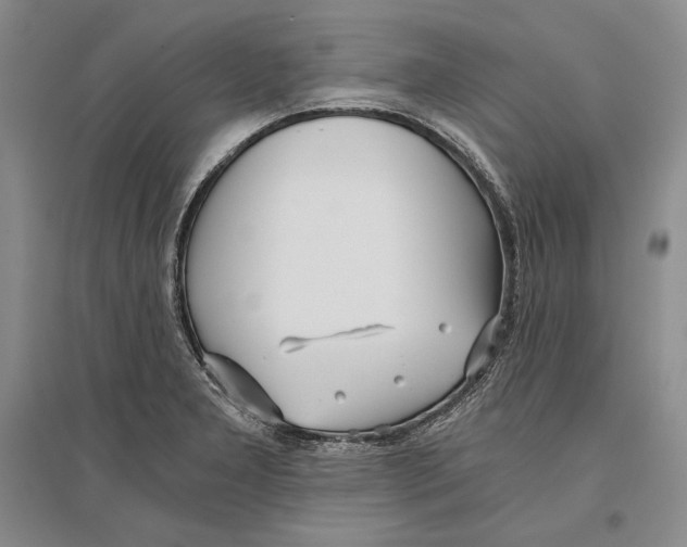 X0000096181277200802151433