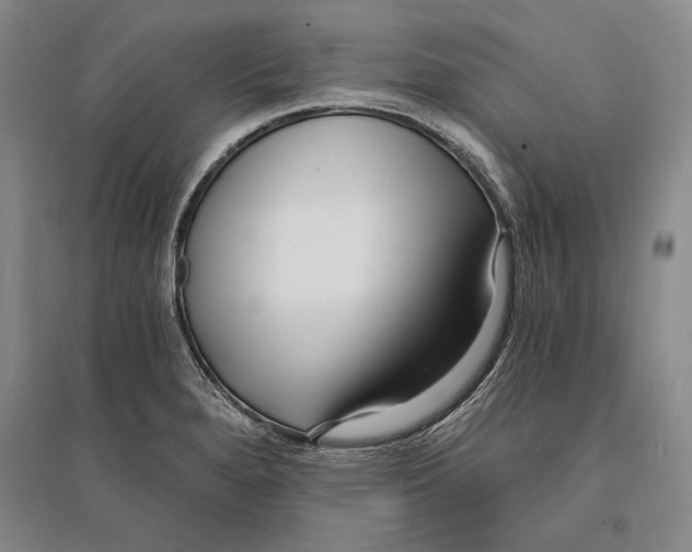 X0000096181280200802151433