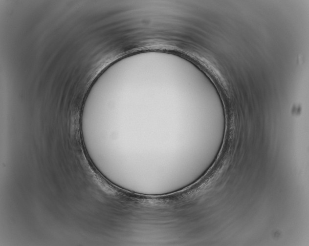 X0000096181281200802151433