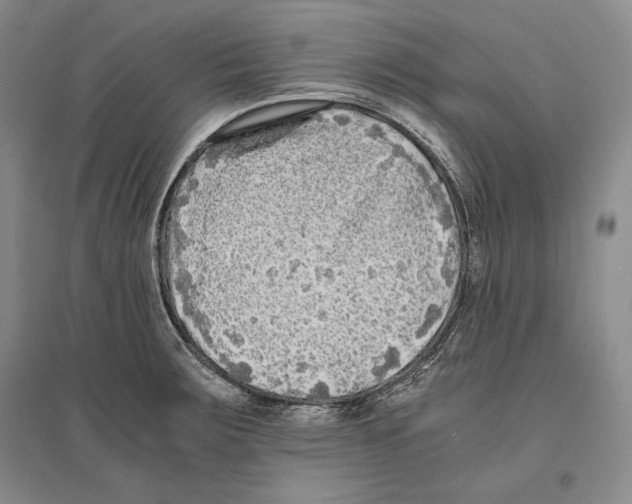 X0000096181283200802151433