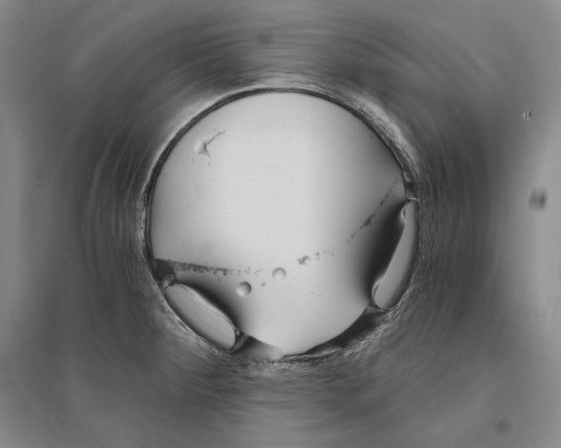 X0000096181284200802151433