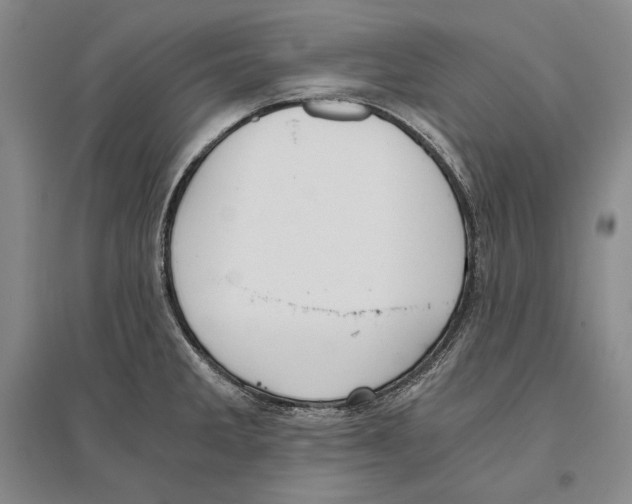X0000096181285200802151433