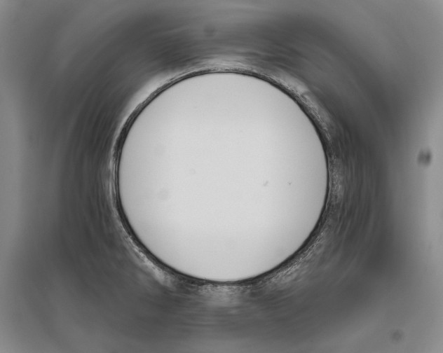 X0000096181286200802151433