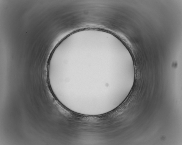 X0000096181287200802151433