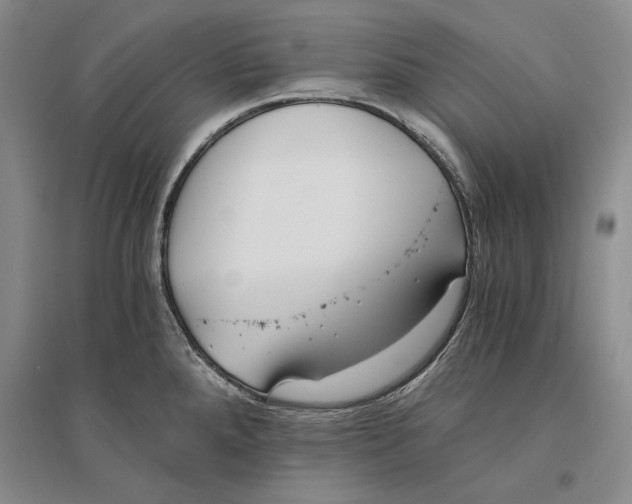 X0000096181288200802151433