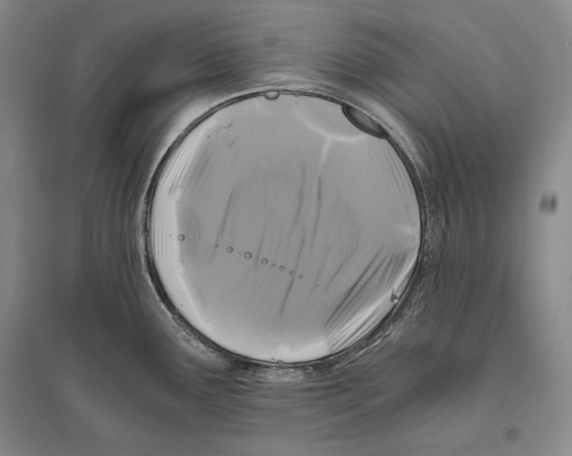 X0000096181291200802151433