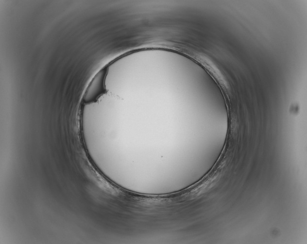 X0000096181292200802151433