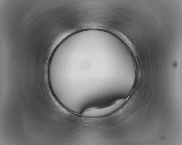 X0000096181293200802151433
