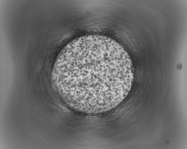X0000096181297200802151432