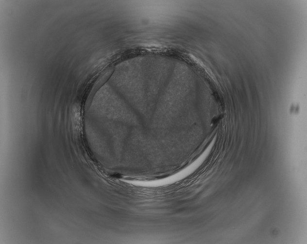 X0000096181298200802151432