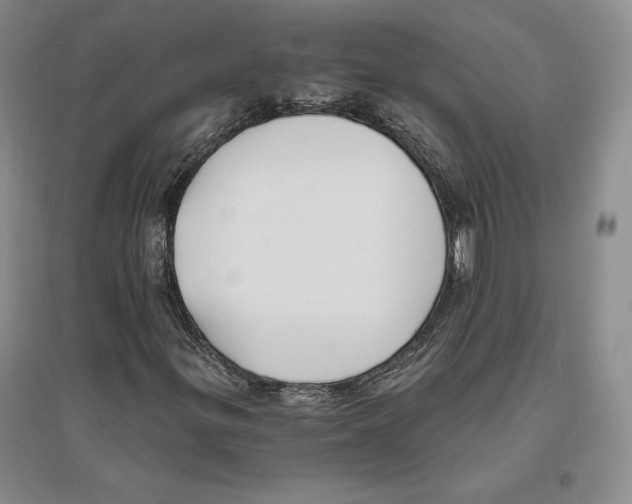 X0000096181299200802151432