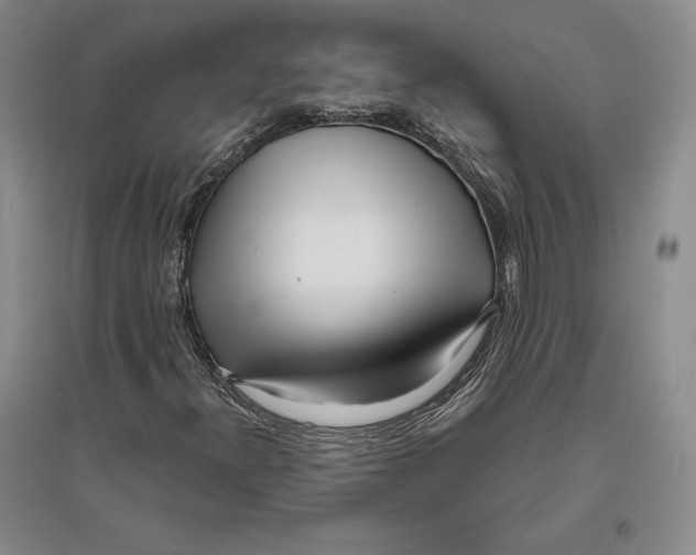 X0000096181300200802151432