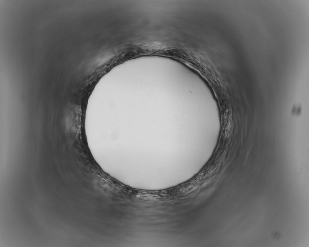 X0000096181301200802151432