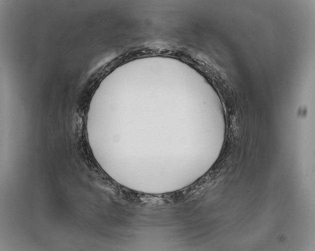 X0000096181302200802151432