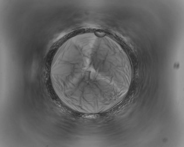 X0000096181303200802151432