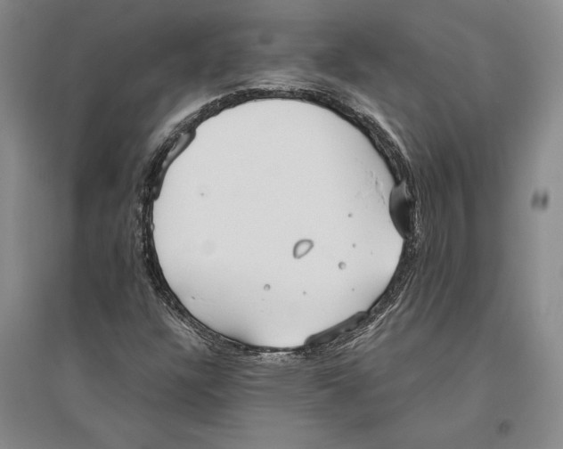 X0000096181304200802151432