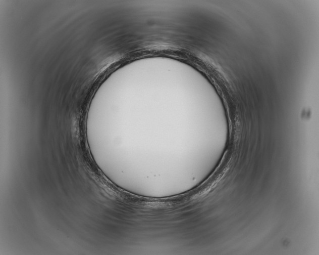 X0000096181305200802151432