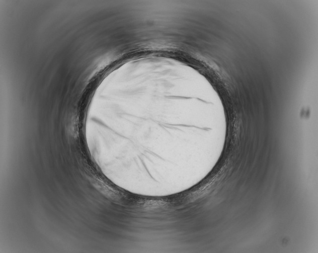 X0000096181306200802151432