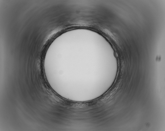 X0000096181307200802151432