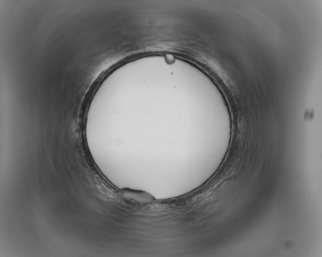 X0000096181308200802151432