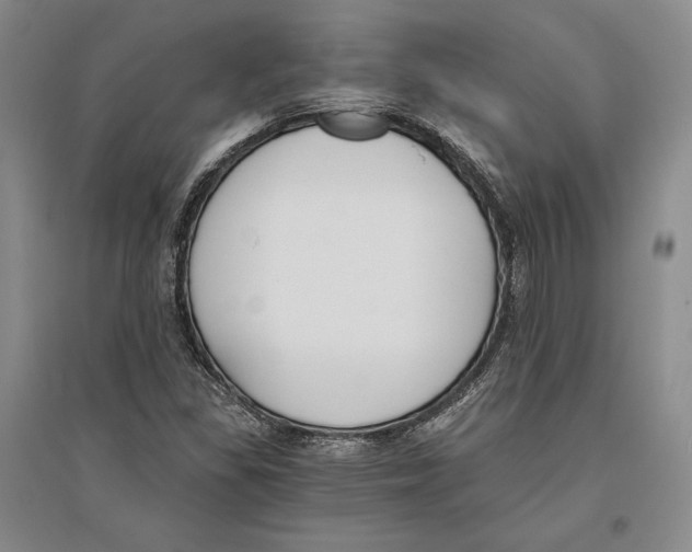 X0000096181309200802151432