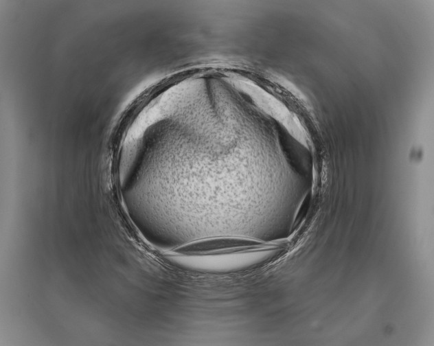 X0000096181310200802151432