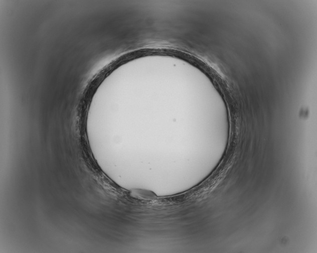 X0000096181311200802151432