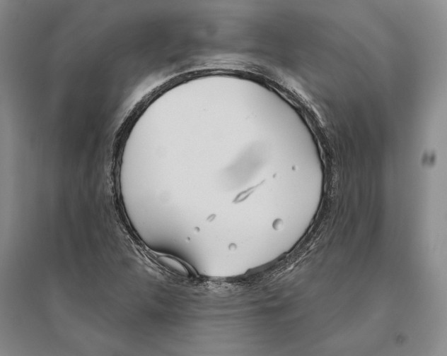 X0000096181312200802151432