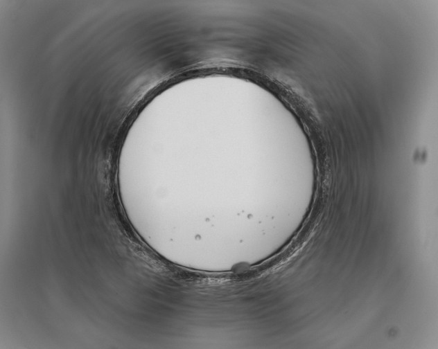 X0000096181313200802151432