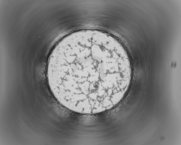 X0000096181314200802151432