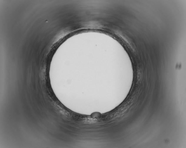 X0000096181315200802151432