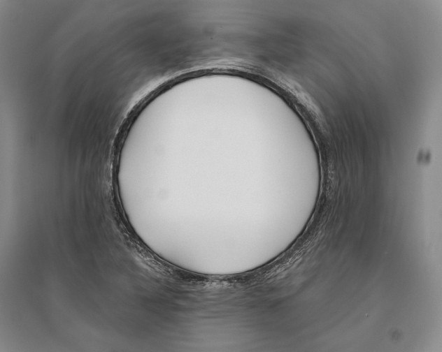 X0000096181316200802151432