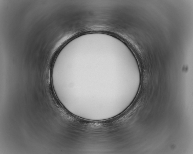 X0000096181317200802151432