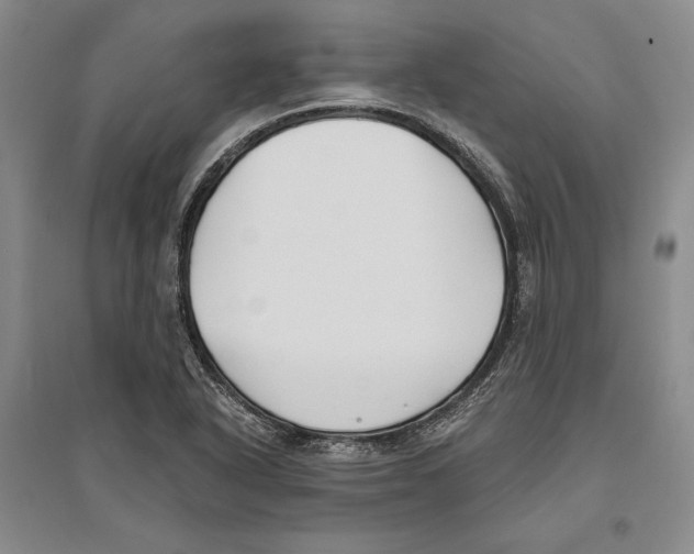X0000096181318200802151432