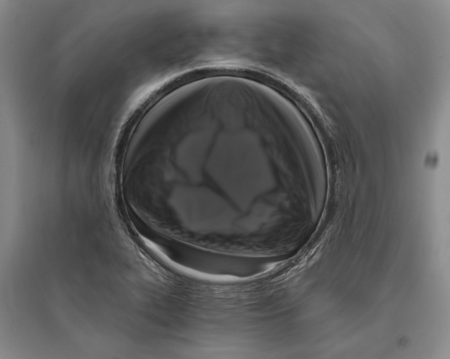 X0000096181319200802151432