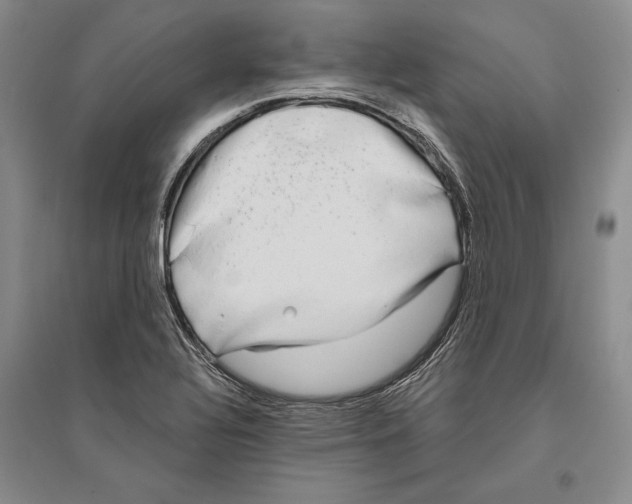X0000096181320200802151432