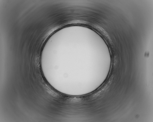 X0000096181321200802151432