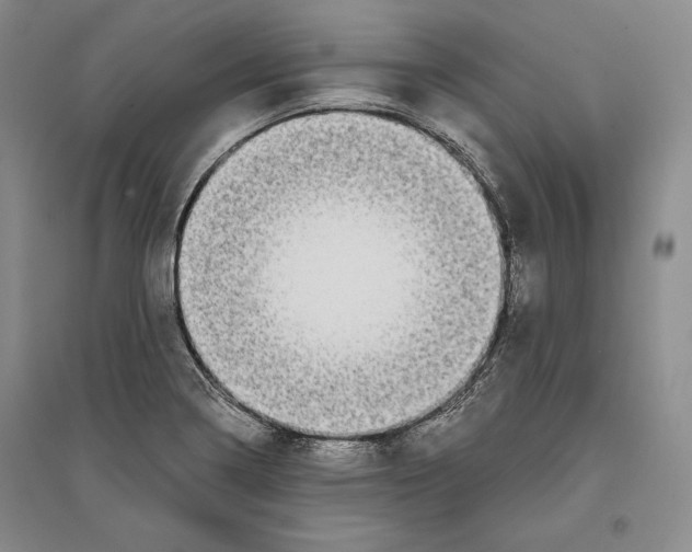 X0000096181322200802151432
