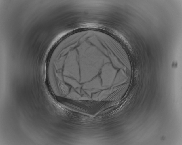 X0000096181323200802151432