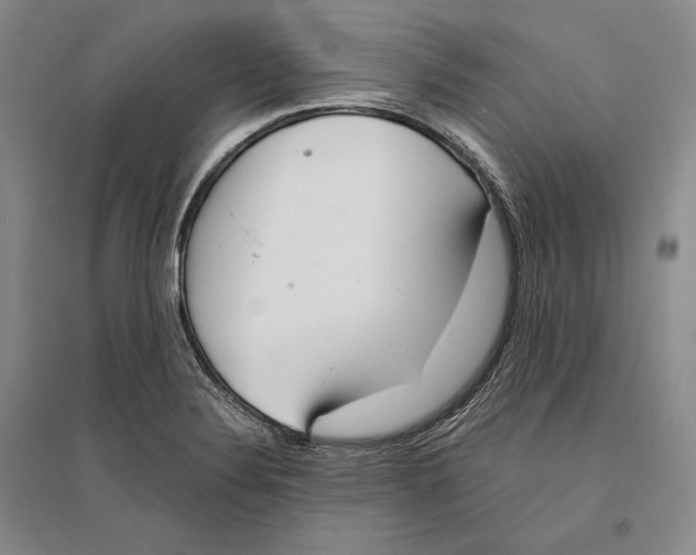X0000096181324200802151432