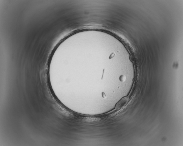 X0000096181325200802151432