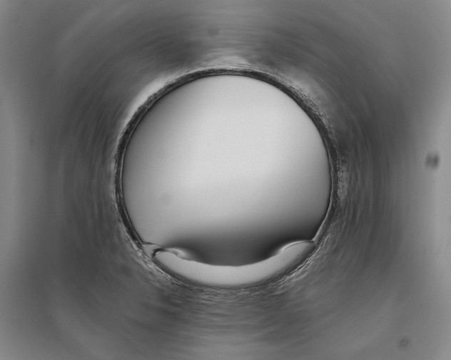 X0000096181326200802151432