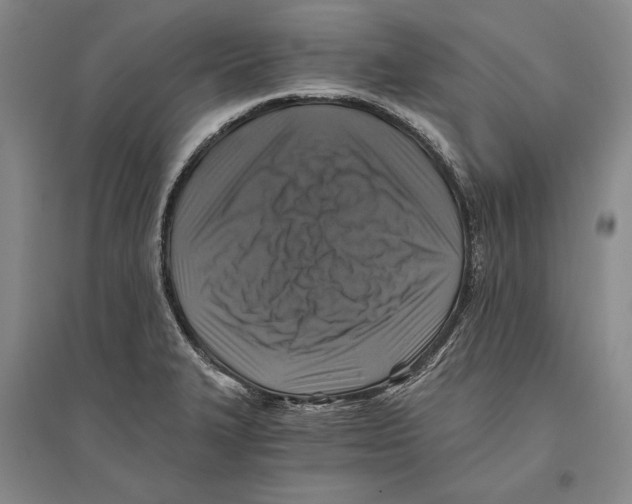 X0000096181327200802151432