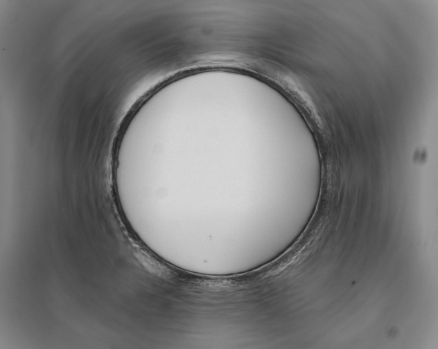 X0000096181328200802151432