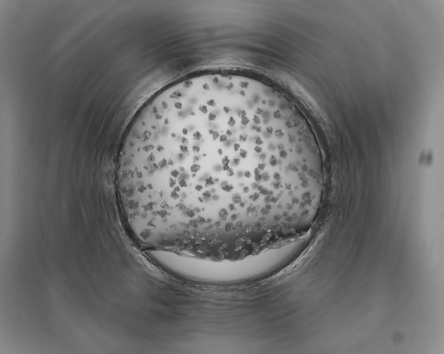 X0000096181329200802151432