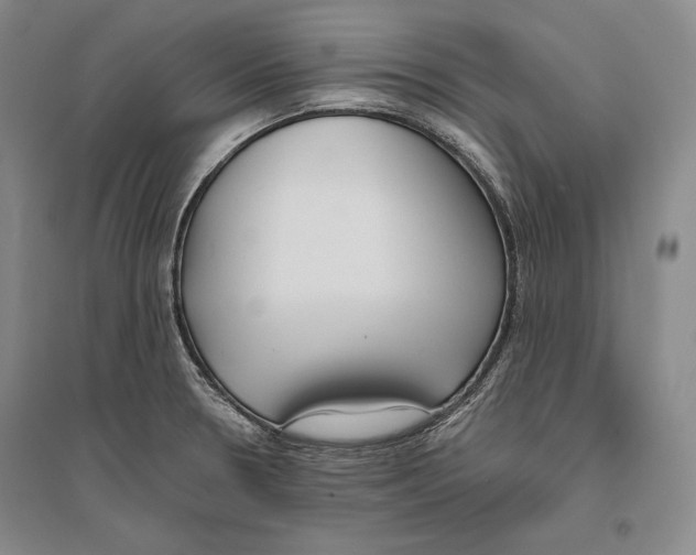 X0000096181330200802151432