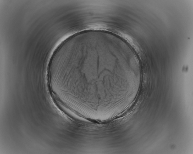 X0000096181331200802151432