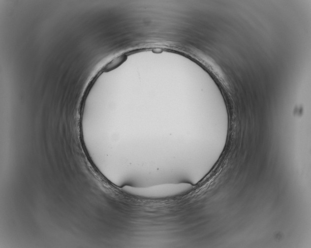 X0000096181332200802151432