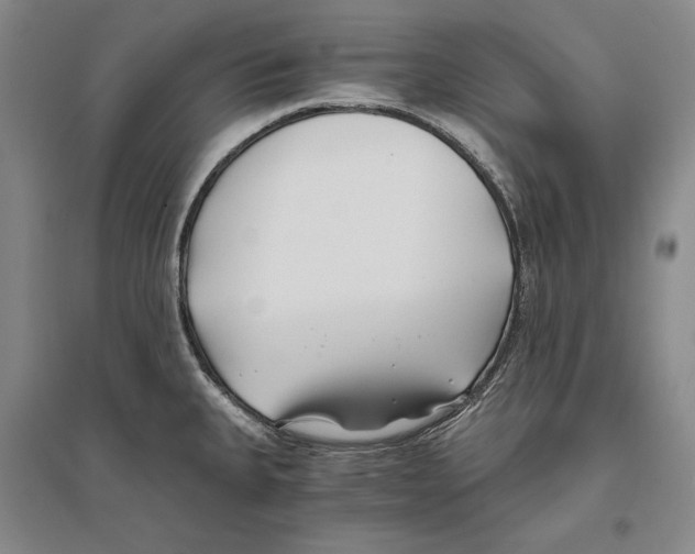 X0000096181335200802151433