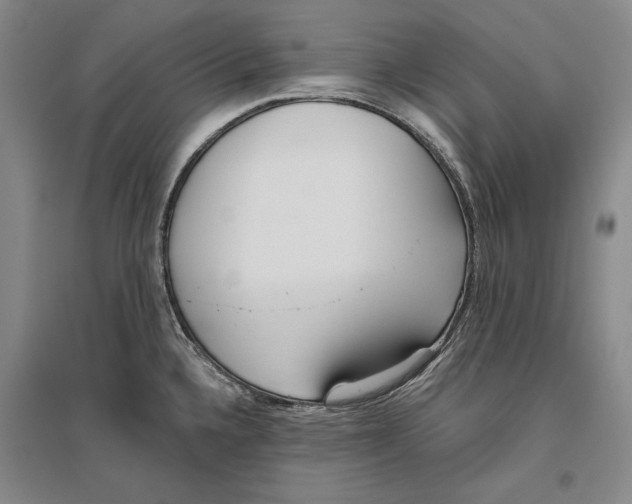 X0000096181336200802151433